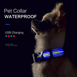 Waterproof LED Dog Collar - USB Rechargeable - [sDonut Plush Pet Large, Small, Dog Cat Bed Fluffy Soft Warm Calming Bed Sleeping Kennel Nest 03 - 06hop_name]
