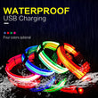 Load image into Gallery viewer, Waterproof LED Dog Collar - USB Rechargeable - [sDonut Plush Pet Large, Small, Dog Cat Bed Fluffy Soft Warm Calming Bed Sleeping Kennel Nest 03 - 06hop_name]
