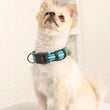 Load image into Gallery viewer, Waterproof LED Dog Collar - USB Rechargeable - [sDonut Plush Pet Large, Small, Dog Cat Bed Fluffy Soft Warm Calming Bed Sleeping Kennel Nest 03 - 06hop_name]
