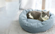 Load image into Gallery viewer, Round Cotton Pet Lounger Bed With Pillow - [sDonut Plush Pet Large, Small, Dog Cat Bed Fluffy Soft Warm Calming Bed Sleeping Kennel Nest 03 - 06hop_name]
