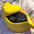 Load image into Gallery viewer, Banana Shape Pet Bed - [sDonut Plush Pet Large, Small, Dog Cat Bed Fluffy Soft Warm Calming Bed Sleeping Kennel Nest 03 - 06hop_name]
