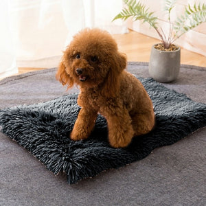 All Season Warm And Fluffy Pet Bed Mat - [sDonut Plush Pet Large, Small, Dog Cat Bed Fluffy Soft Warm Calming Bed Sleeping Kennel Nest 03 - 06hop_name]