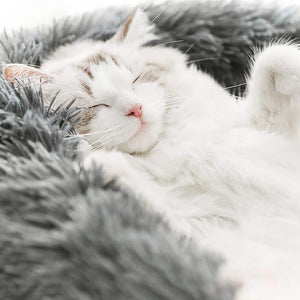 Super plush Round Pet Bed - [sDonut Plush Pet Large, Small, Dog Cat Bed Fluffy Soft Warm Calming Bed Sleeping Kennel Nest 03 - 06hop_name]